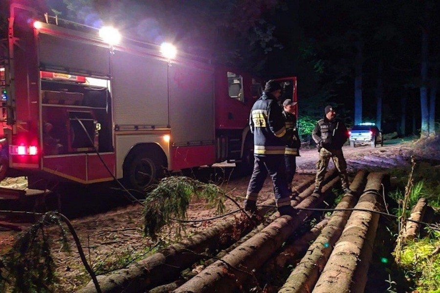 Польские пограничники не дали распространиться лесному пожару в Роминте