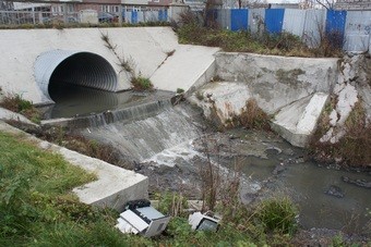 «”Французские духи” Литовского ручья»: репортаж «Нового Калининграда.Ru»