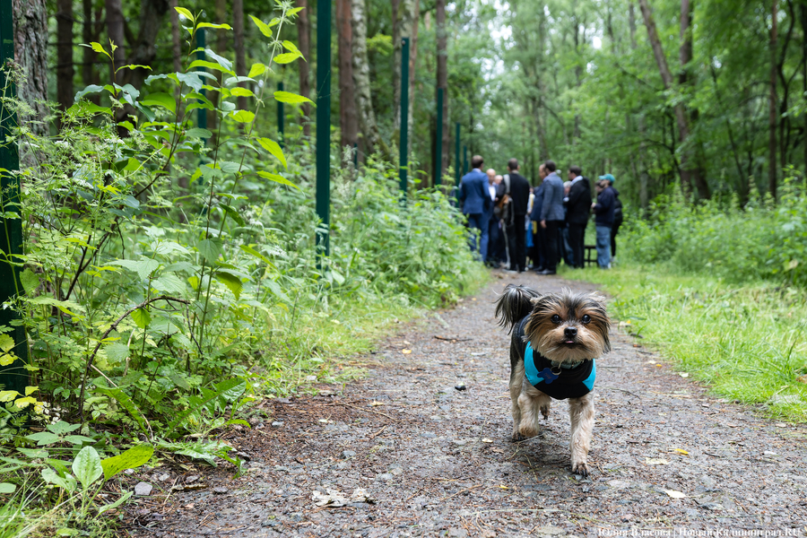 Планы развития к юбилею области: как губернатор в мкр. Космодемьянского выезжал (фото)