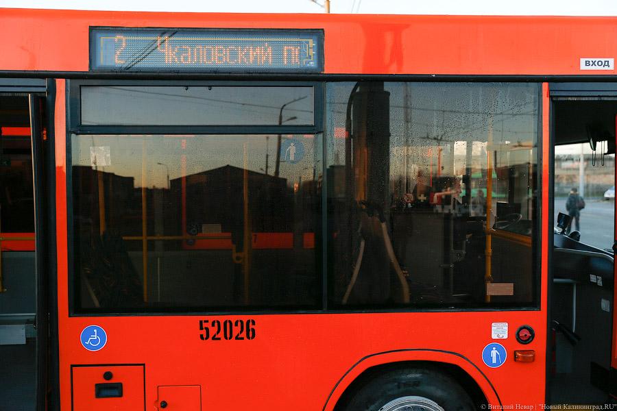 Власти: из 16-ти заражённых COVID на транспортных предприятиях в регионе пятеро привиты