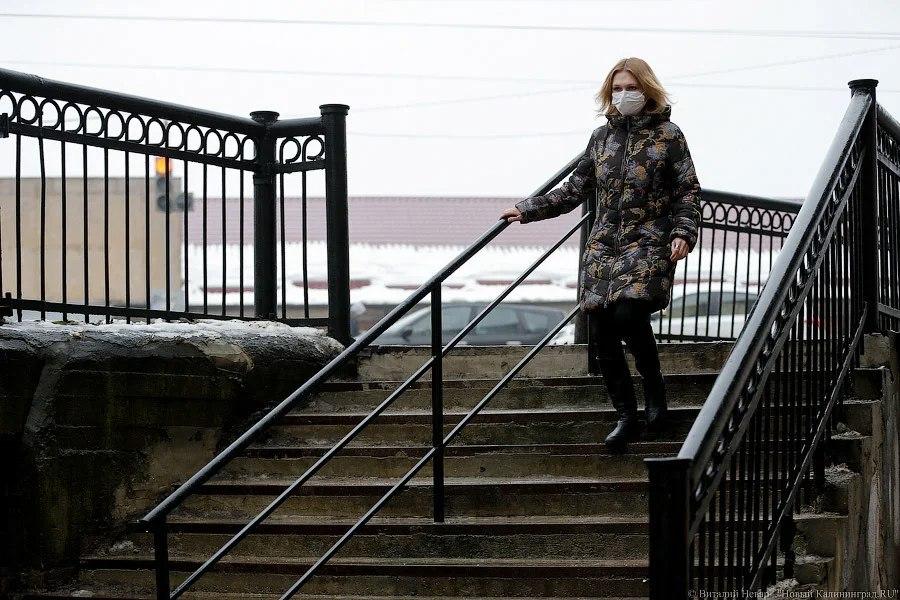 «Спекулянты спасают»: когда нужно носить медицинские маски и как их найти в Калининграде