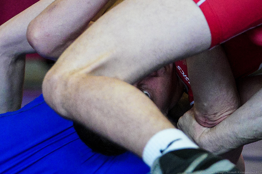 Крючки, узлы, обвивы: в Калининграде проходит чемпионат России по борьбе спорта глухих