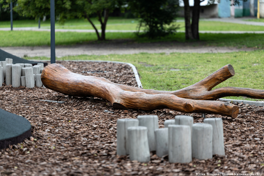 Планы развития к юбилею области: как губернатор в мкр. Космодемьянского выезжал (фото)