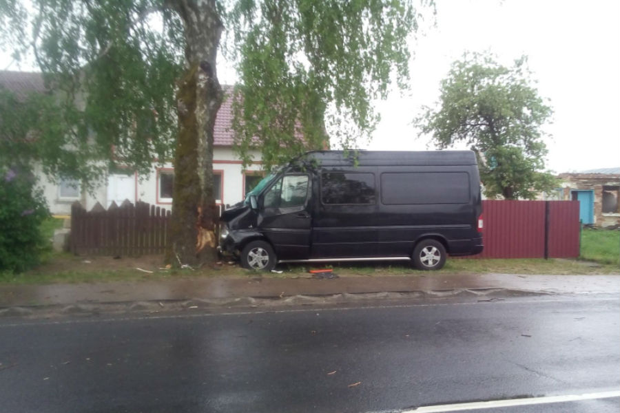 Под Черняховском «Мерседес» врезался в дерево, погибла пенсионерка (фото)