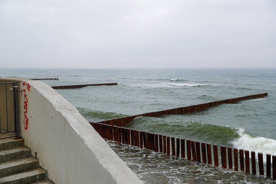 Много лиственницы и чуть песка: как выглядит светлогорский «пляж»  