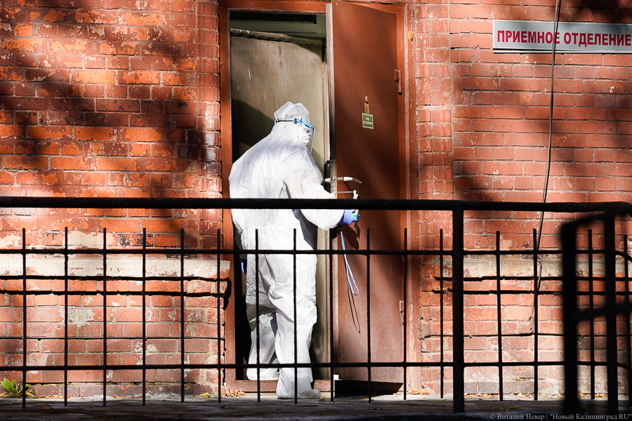 Количество «суточных» случаев коронавируса в регионе несколько снизилось