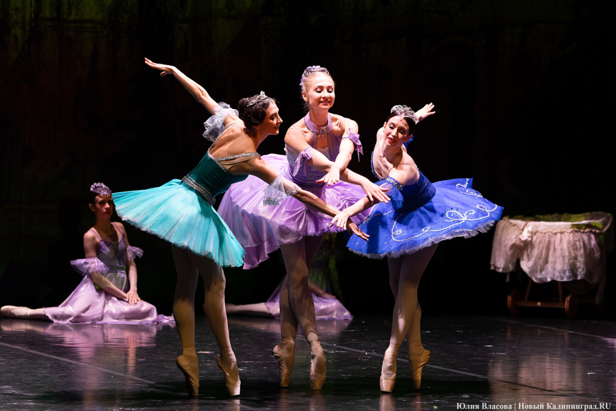 Неклассическая классика: как прошел второй день «Зимних каникул на Балтике» (фото)