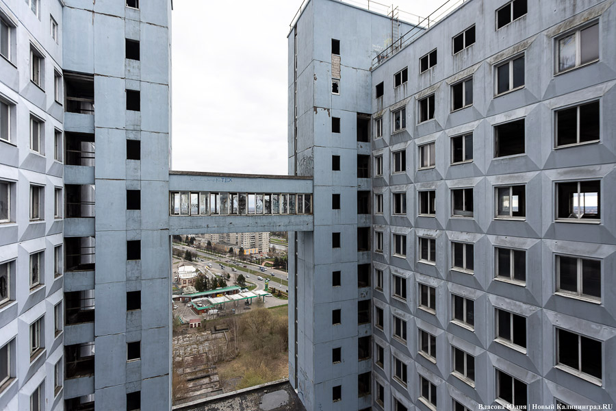 Фото: Юлия Власова / Новый Калининград