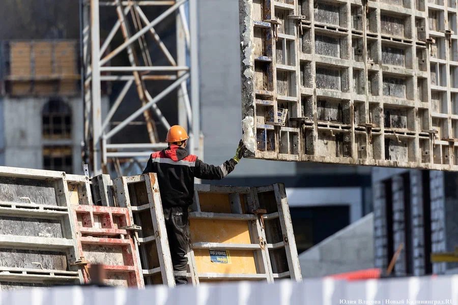 Фото: Юлия Власова / Новый Калининград