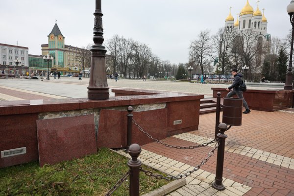 РПЦ разрешили обрезать восемь деревьев на площади Победы в Калининграде