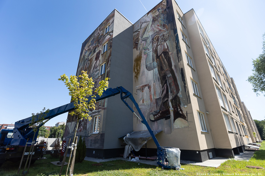 То, чему предстоит стать классикой: на зданиях БФУ им. Канта нарисовали четыре мурала (фото)