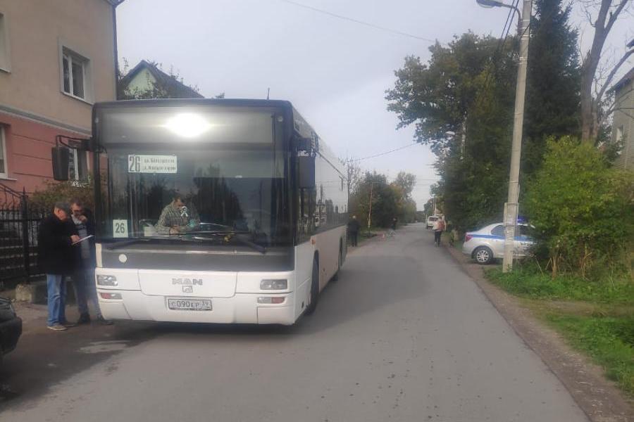 В Калининграде автобус сбил велосипедиста