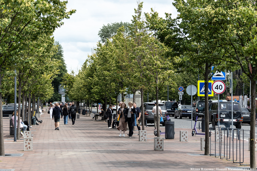 Вместо развалившихся: на улицу Баранова вернули вазоны-лавки за 12,5 млн рублей (фото)