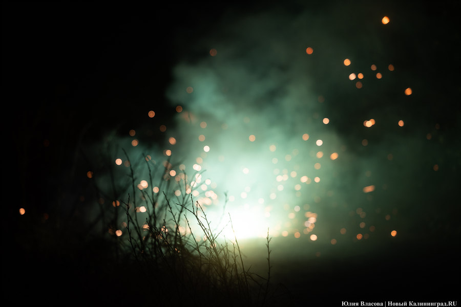 30 километров гирлянд: как украсили к Новому году Светлогорск (фото)