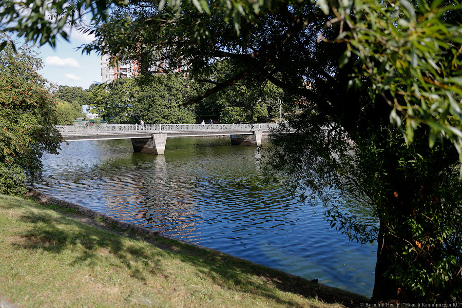 Фото — Виталий Невар, «Новый Калининград.Ru»