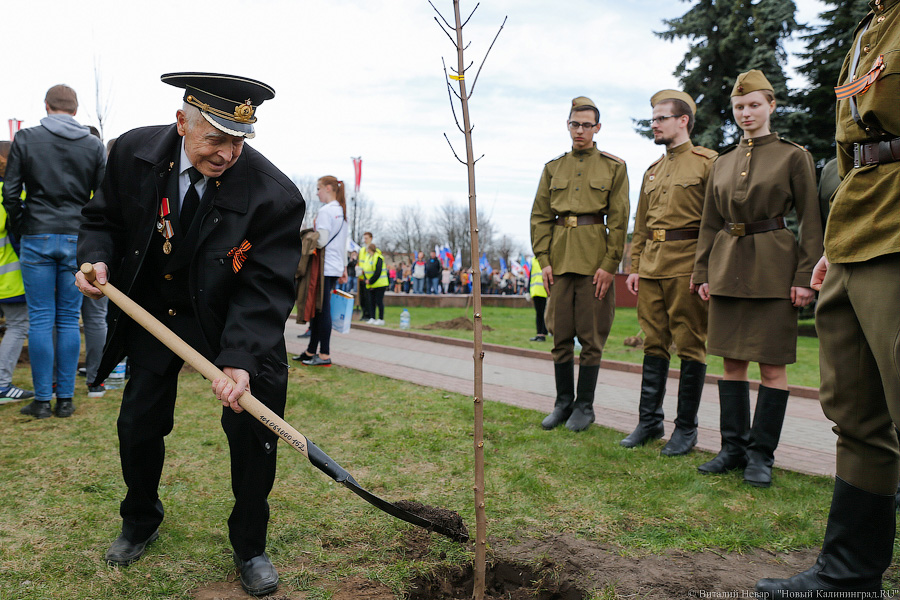 «Давай сюда следующих ветеранов»: в Калининграде стартовал новый сезон Победы