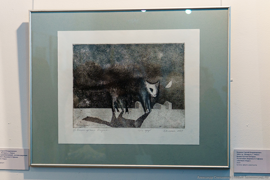 Графика, янтарь и арт: в Музее искусств открылась выставка «Магнетизм Гофмана» (фото)