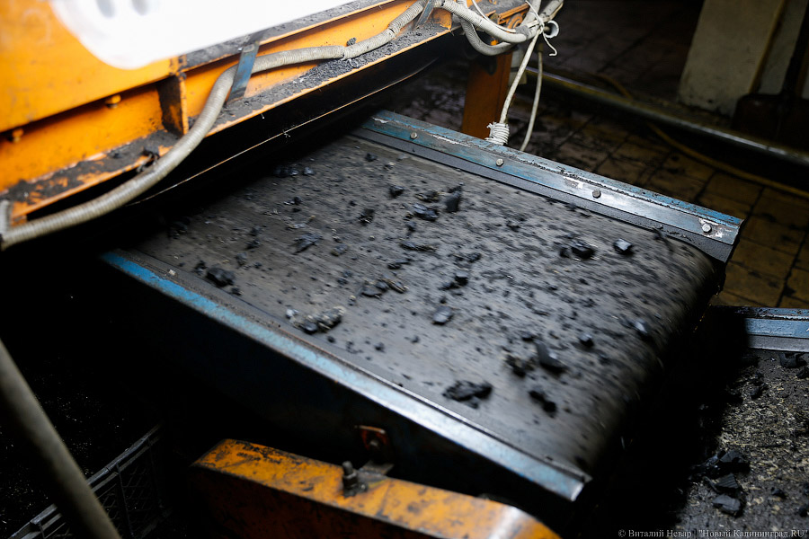 «Нечистый» бизнес: как и где в Калининграде научились зарабатывать на отходах