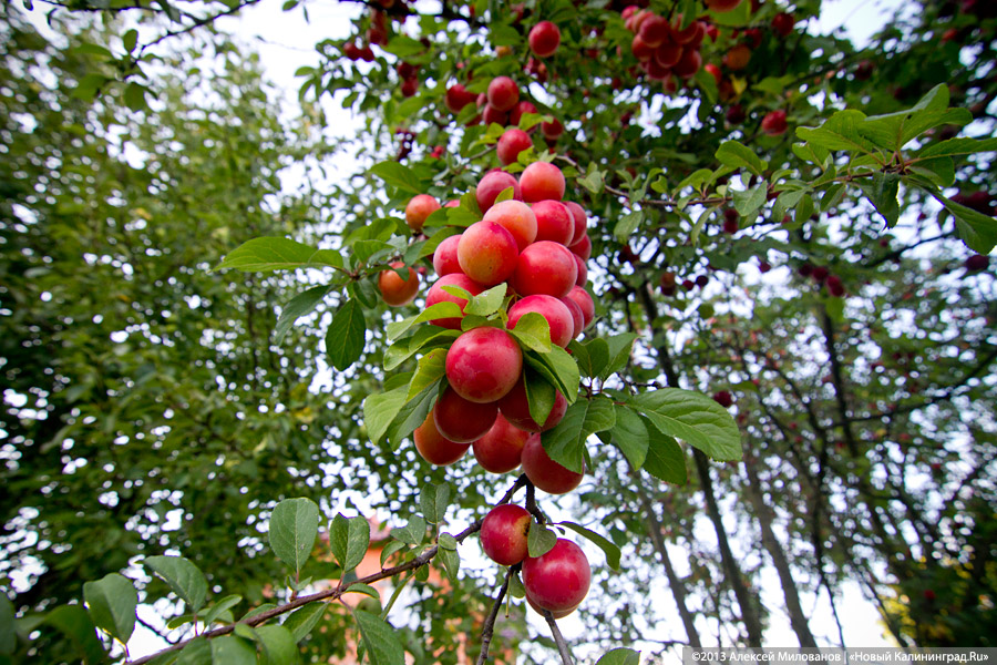 Олег Скворцов о новой площадке «Контакт»: «Я не люблю быть в тренде»