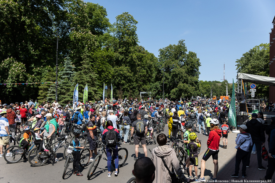 Катись оно всё: в Калининграде прошёл День колеса (фото)