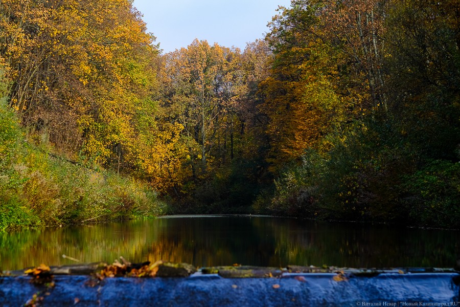 Ступин утвердил список Особо охраняемых природных зон в Калининградской области