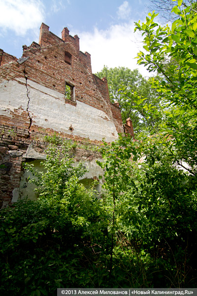 Забытые могилы: кирха и кладбище в поселке Тишино зарастают деревьями