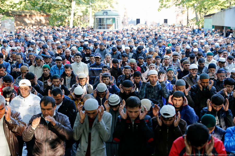 Молитва с селфи: мусульмане отметили Курбан-байрам в Южном парке (фото)