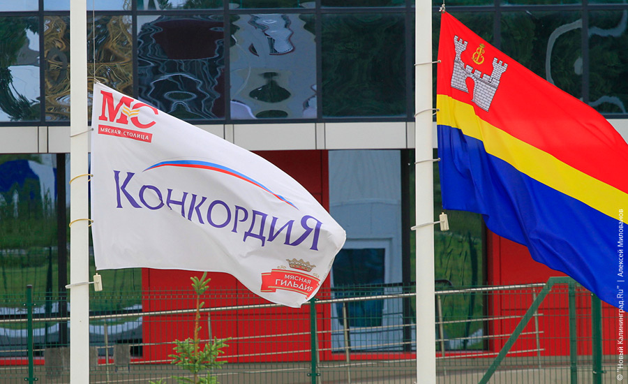 «'Конкордия' три дня спустя»: фоторепортаж "Нового Калининграда.Ru"