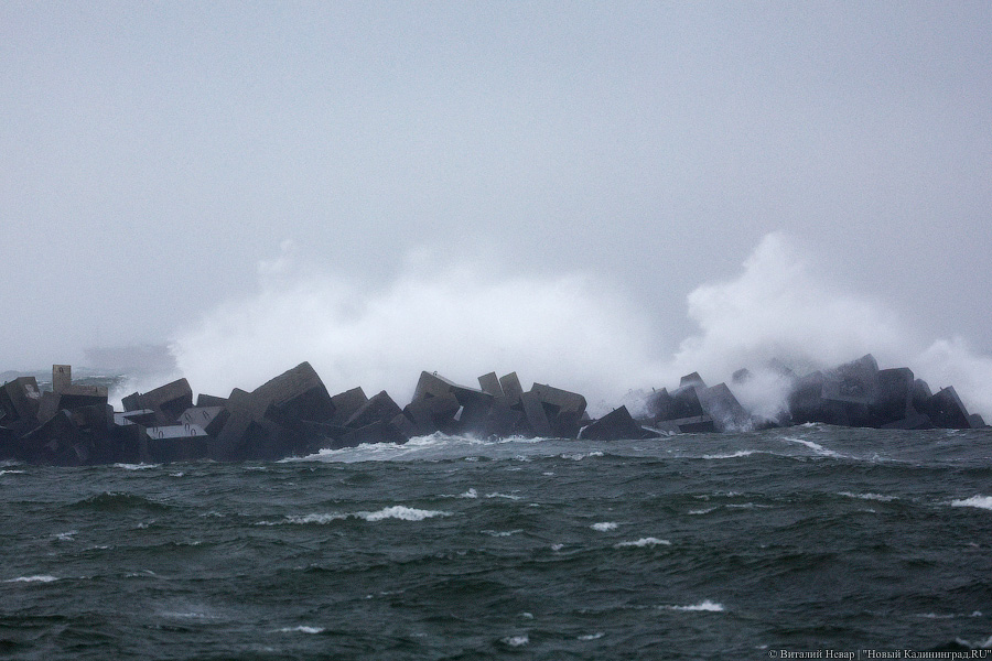 Что нам ветер: фоторепортаж из штормового Балтийска (фото)