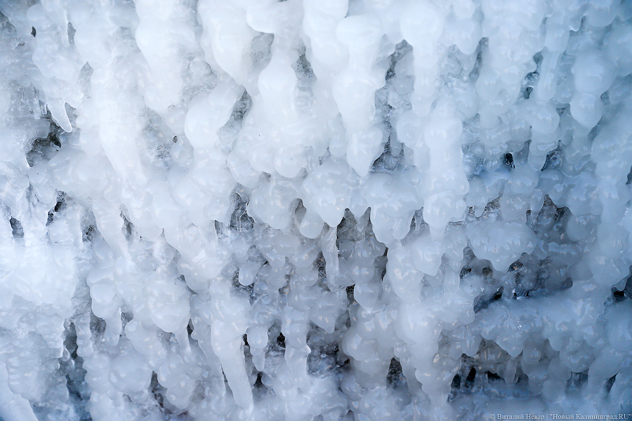 В Калининграде нашли вмерзшее в лед тело пропавшего неделю назад мужчины