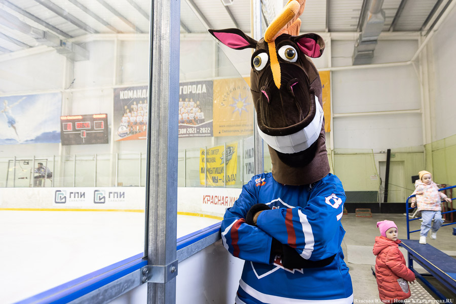 Хоккей его имени: Владислав Третьяк открыл турнир в Светлогорске (фото)