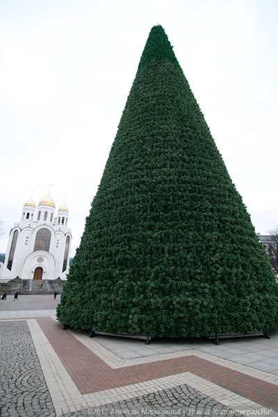 "Много на ёлочке шариков цветных": фоторепортаж "Нового Калининграда.Ru"