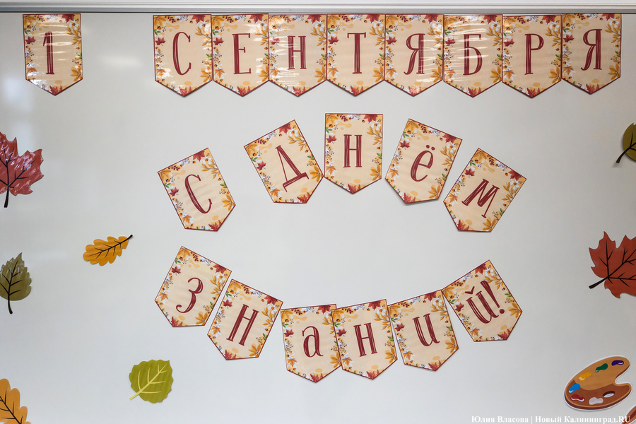 Новый учебник истории Калининградской области обещают выпустить в 2026 году