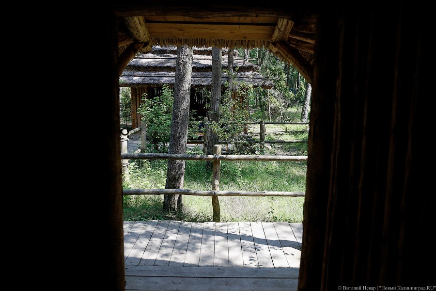 Олаф и его хирд: деревня викингов на Куршской косе стала обитаемой