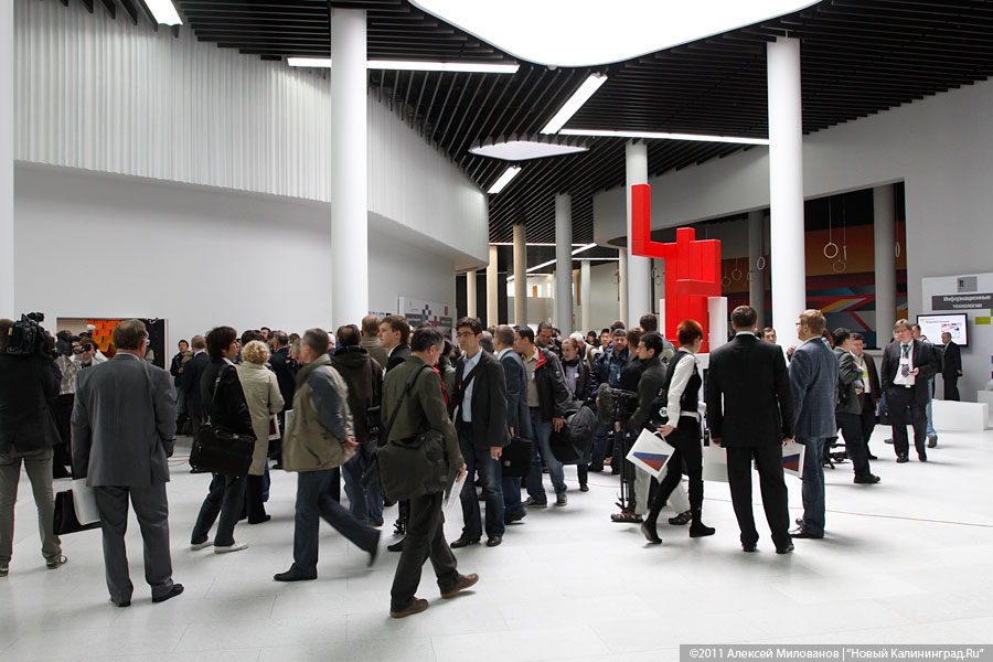 "Олень на 100%": фоторепортаж "Нового Калининграда.Ru"