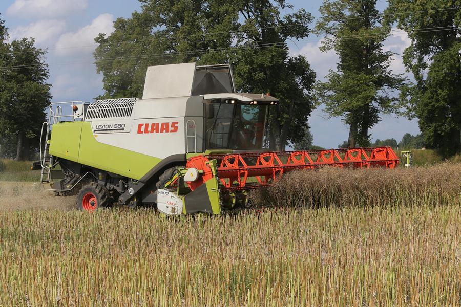 Круговое замыкание: как губернатор правдинские сельхозугодья инспектировал (фото)