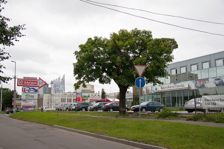 По следам Первой мировой: крупнейшее воинское захоронение закатали под асфальт