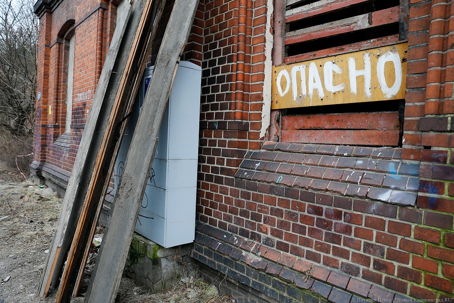 «Вы нам мешаете»: как бывший лицей имени Гёте снова пытались снести (фото)