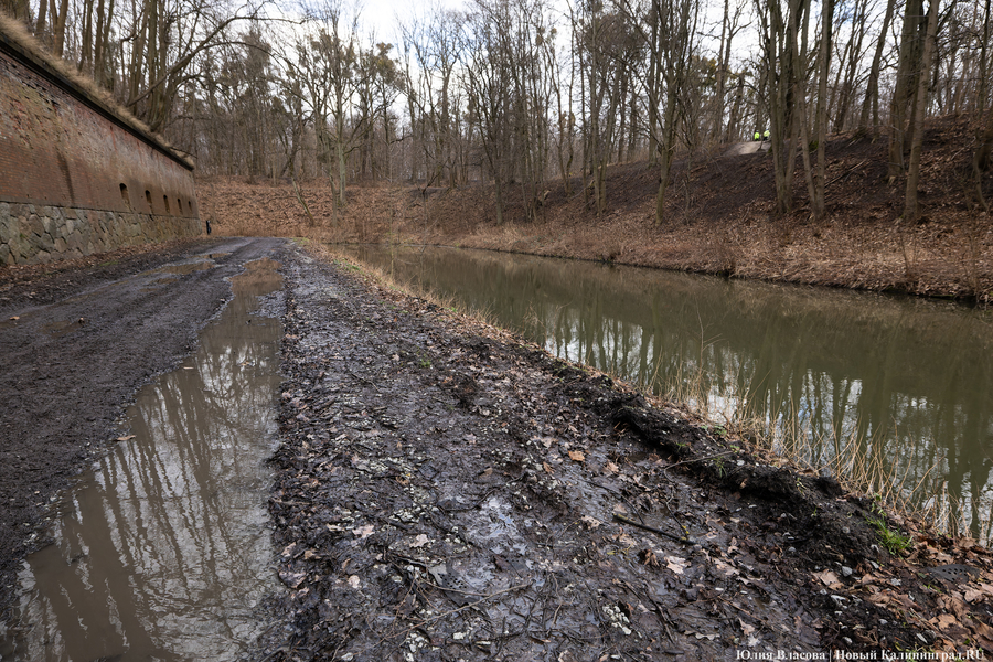 Непролазная грязь: как выглядит берег Литовского ручья в ожидании реновации (фото)