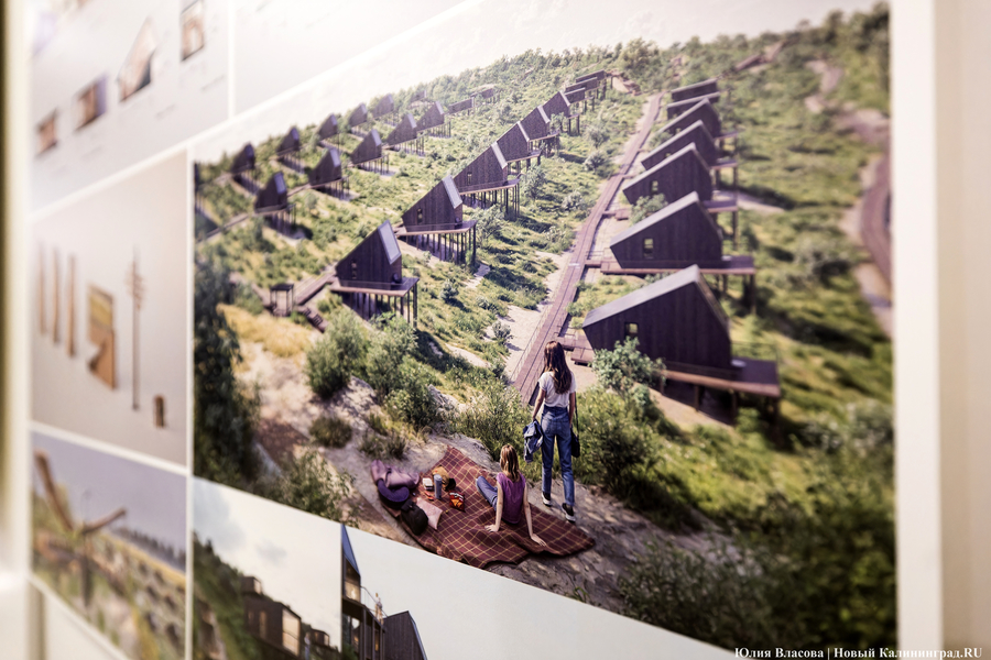 «Гнёзда» на Филинской бухте: проект из Москвы получил первую премию «ЭкоБерега» (фото)