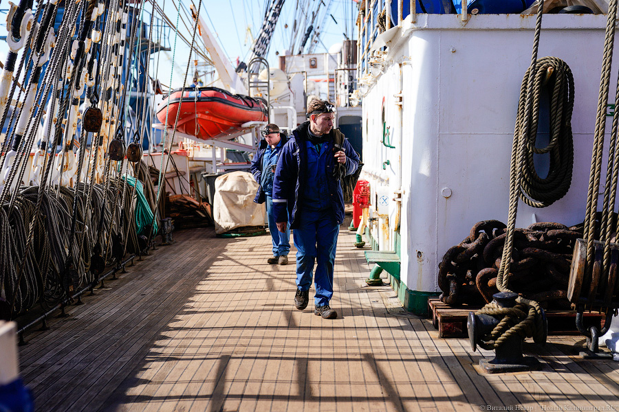 После кругосветки и перед новым рейсом: барк «Седов» проходит ремонт в Светлом (фото)