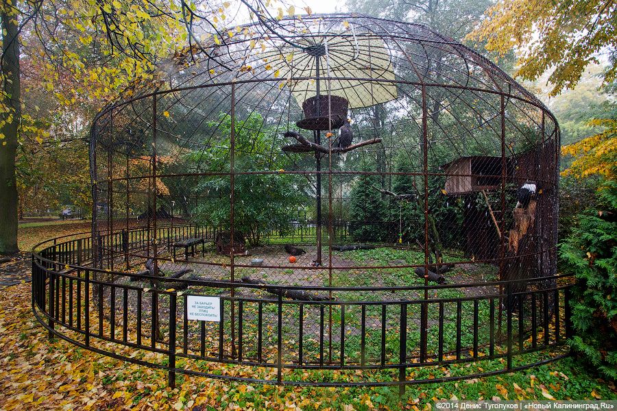 Звериные тропы: прогулка по зоопарку