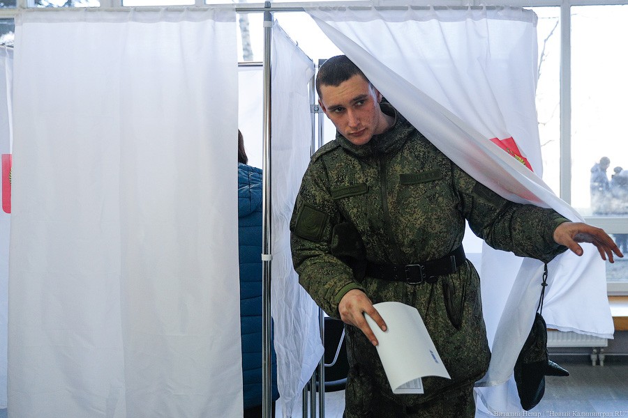 За гречку и тушёнку: как калининградцы выбирали президента России (фото)