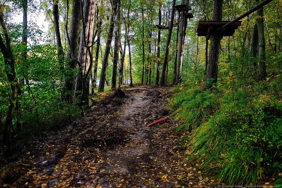 Муза освоения: как за федеральные деньги благоустраивают парк в Светлогорске