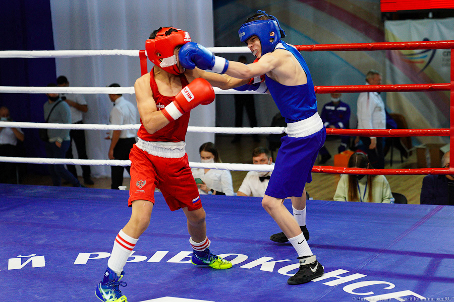 Очередной нокдаун: в Калининграде прошёл международный турнир по боксу «Янтарные перчатки»