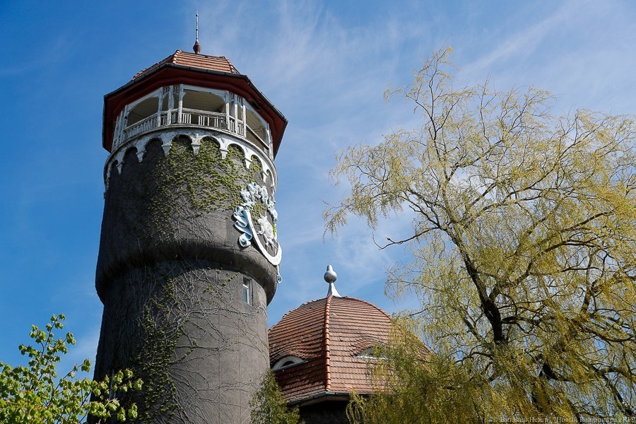 Виталий Невар / Новый Калининград