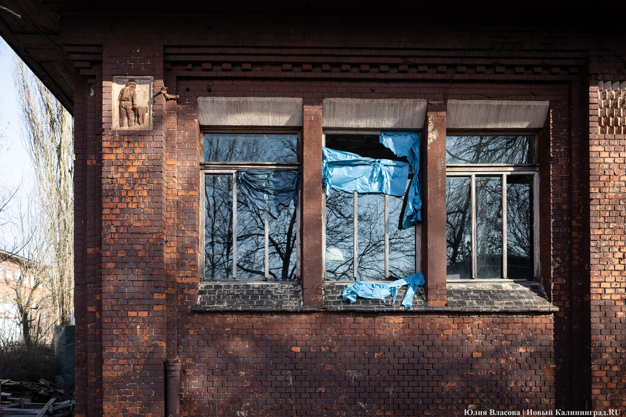 След Розенау: как выглядит заброшенный мясокомбинат на Аллее Смелых (фото)