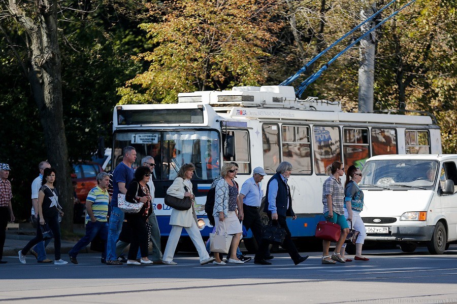 Мэрия: в Калининграде троллейбус №1 вновь вышел на маршрут