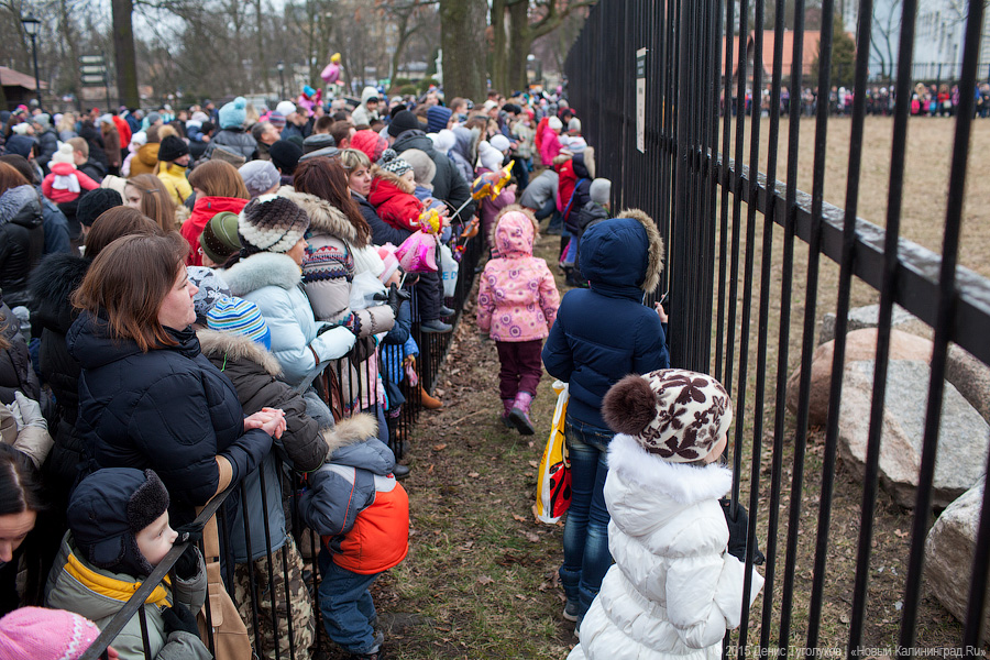 Продвинутое средневековье: как люди и звери Масленицу отмечали