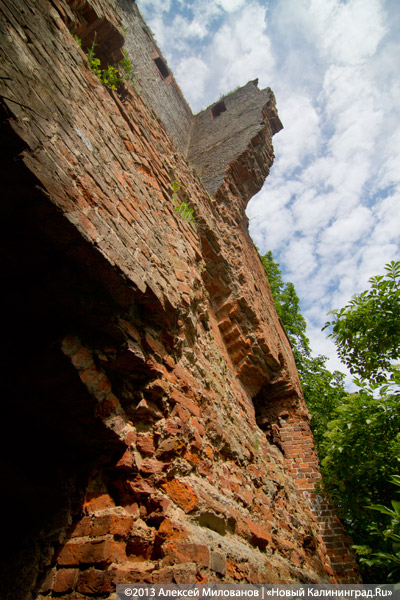 Черепки и воронки: «черные копатели» регулярно разграбляют руины кирхи в Корнево